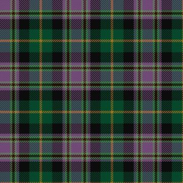 Caledonian Labrador Retrievers Tartan kilt