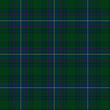 Camenisch Enveglan Family (Personal) Tartan kilt