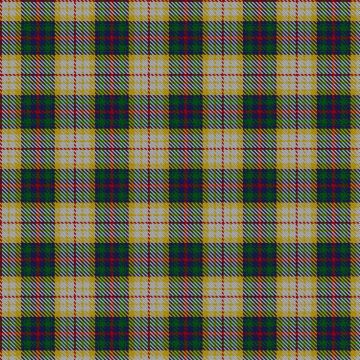 Canice-Moodie (Personal) Tartan kilt