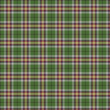 Carmen Lau (Hong Kong) (Personal) Tartan kilt