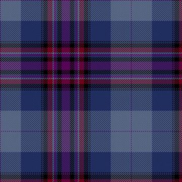 Carnegie Corporation of New York Tartan kilt