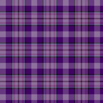 Carse of Gowrie Tartan kilt
