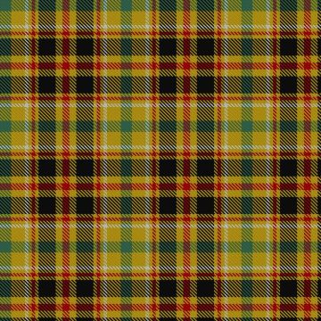 Cawte of Middlebanknock (Personal) Tartan kilt