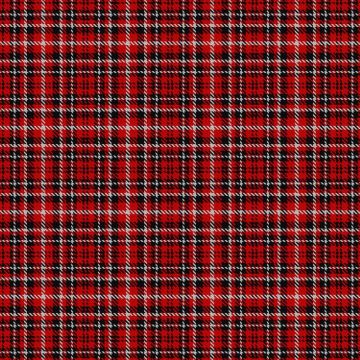 Central Washington University Wildcat Tartan kilt