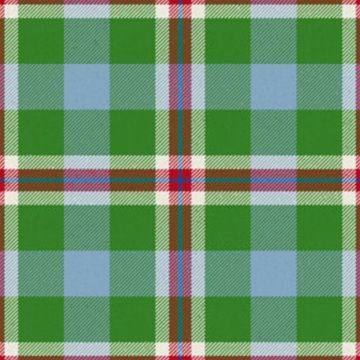 Chubbs L & S Tartan Kilt
