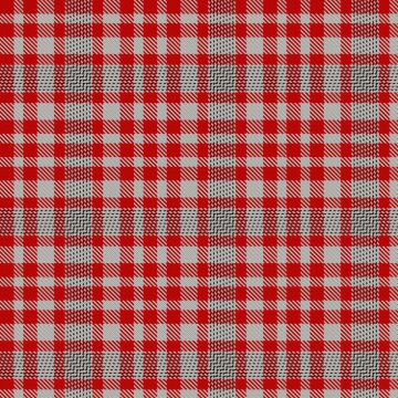 d'Andeville, Xavier (Personal) Tartan kilt