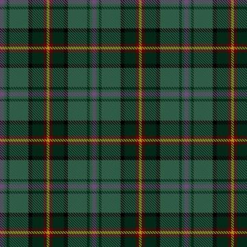 Dartmoor Tartan kilt
