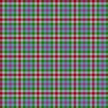 Daughter of Mull Tartan kilt
