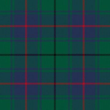 Davidson Half Tartan Kilt