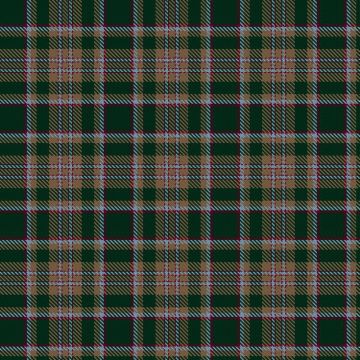 Davis, L W & Family (Personal) Tartan kilt