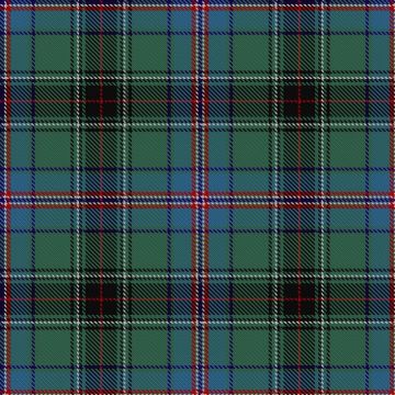 Davison, E & Family (Personal) Tartan kilt