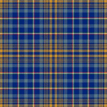 De Baseggio (Golden Bones) Tartan Kilt