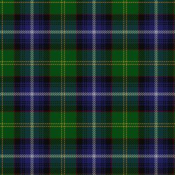 de Albergaria, Baron of Greencastle (Personal) Tartan kilt