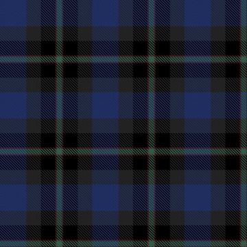 Dearie, James and Family (Personal) Tartan kilt