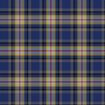 Deary, S & Family (Personal) Tartan kilt