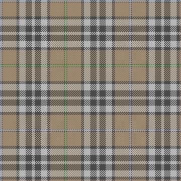 Delta Dental Association Tartan kilt