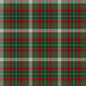 Devon Rural Skills Trust Tartan kilt