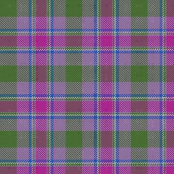 Dias-Parkinson, Mariana & Lindsay (Personal) Tartan kilt
