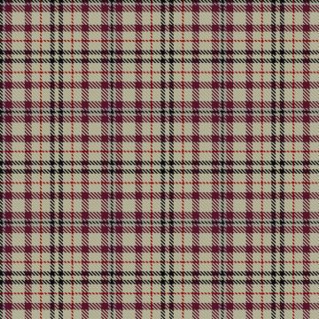 Dijkgraaf, Markus Jack (Personal) Tartan kilt