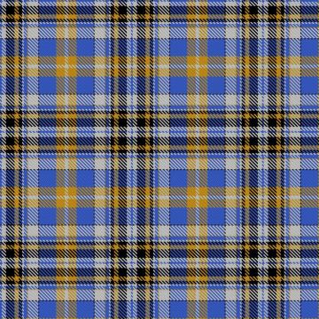 Dinarzh Fortress of the Bear Tartan kilt