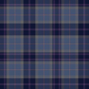 Dinwoodie, G (Personal) Tartan kilt