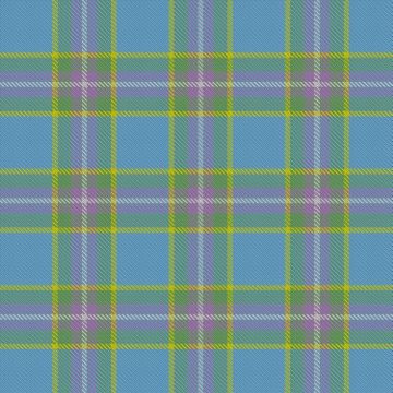 Dishman, Timothy & Family (Personal) Tartan kilt