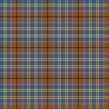 Edinburgh 900 Tartan kilt