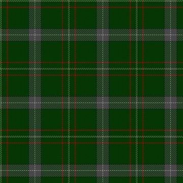 Edinburgh Dog & Cat Home Tartan kilt