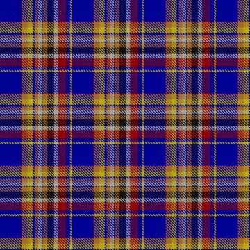 Edinburgh Fashion Festival Tartan kilt