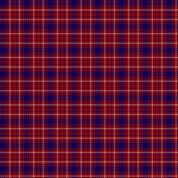 Edinburgh Marketing Tartan kilt