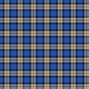 Elliott, Lynn & Family (Personal) Tartan kilt