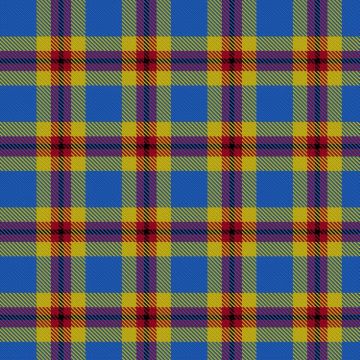 Ellis Bain, Evan (Personal) Tartan kilt