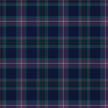 Enkeshafi, Yunes & Family (Personal) Tartan kilt