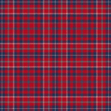 Ensemble pour L'Avenir Tartan Kilt