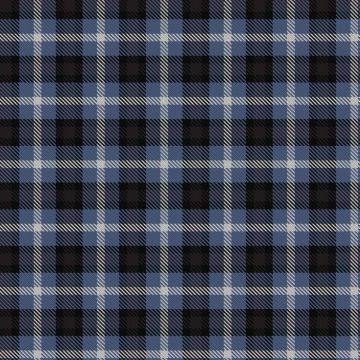 Equity Vision Ltd Tartan kilt
