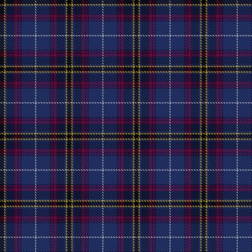 Ertico Tartan kilt