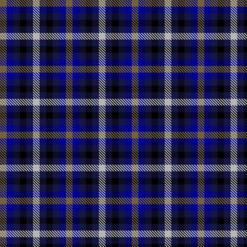 Eurasian Otter (Dòbhran Eurasian) Tartan kilt