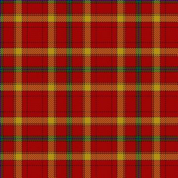 European Renal Association Tartan kilt