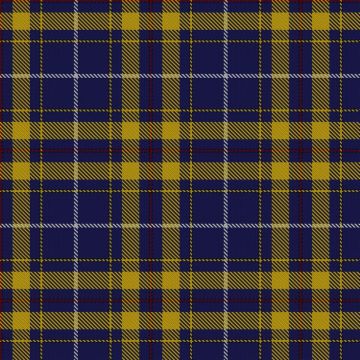 European Union Tartan kilt