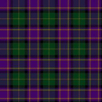 Experience Scotland Tartan kilt