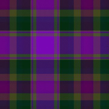 Fabric of Scotland (Prickly Thistle), Tartan kilt