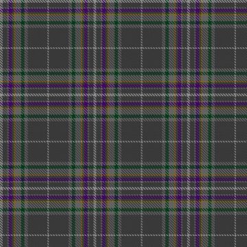 Fagan, David & Rückert, Claire and Family (Personal) Tartan kilt