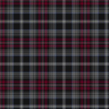 Fairley, C H & Family (Personal) Tartan kilt