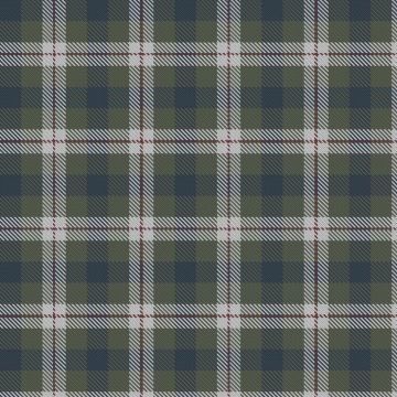 Farooq in Livingston (Personal) Tartan kilt
