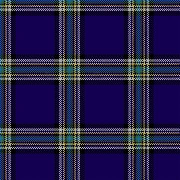 Feeney, Wallace Edward & Family (Personal) Tartan kilt