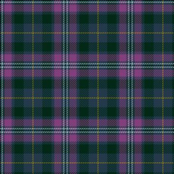 Feighner, K & Family (Personal) Tartan kilt