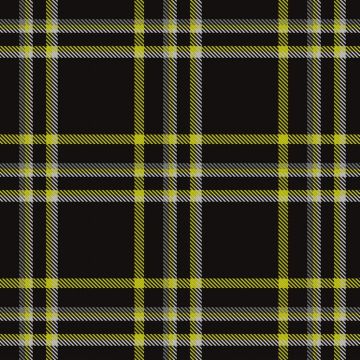 Feltham, P & Family (Personal) Tartan kilt