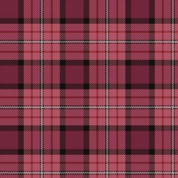 Ferguson's Promise Tartan kilt