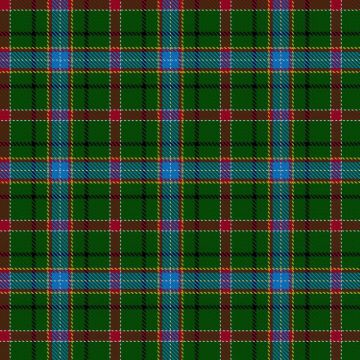 Festival Celtes et Cie Tartan kilt