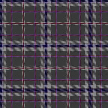 Findlay, S and Ward, M and Family (Personal) Tartan kilt